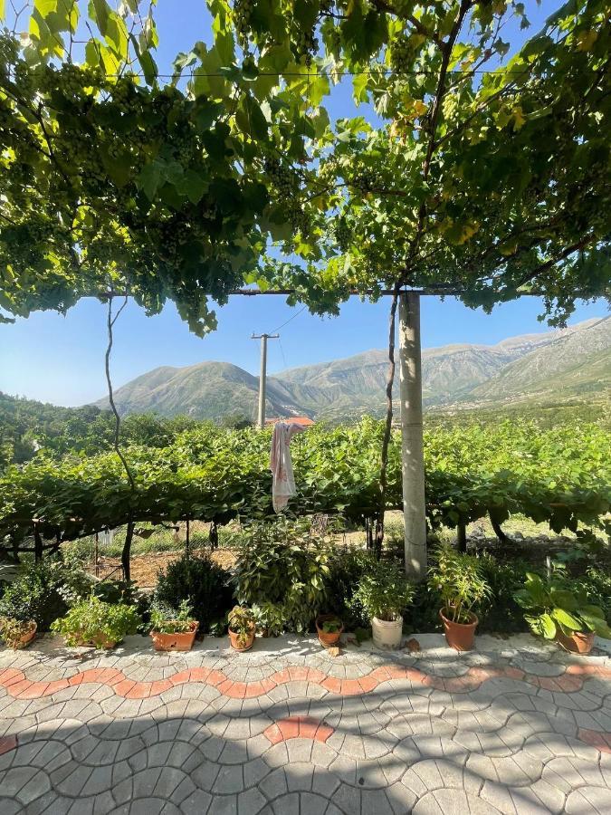 Albania * Dukat
