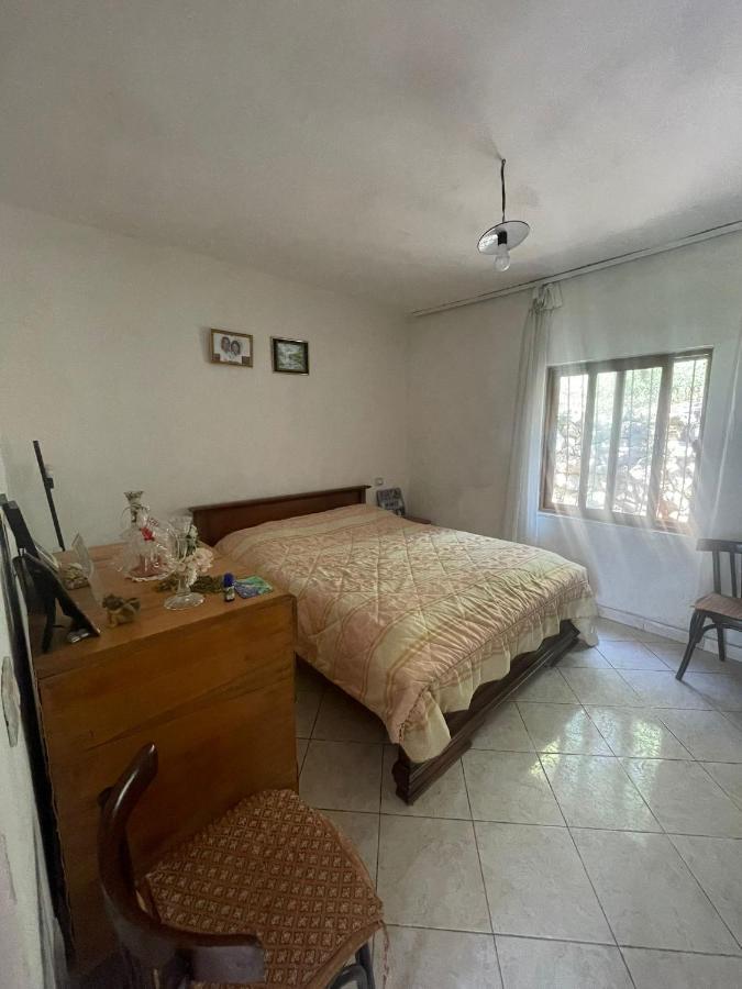 Apartment Albania